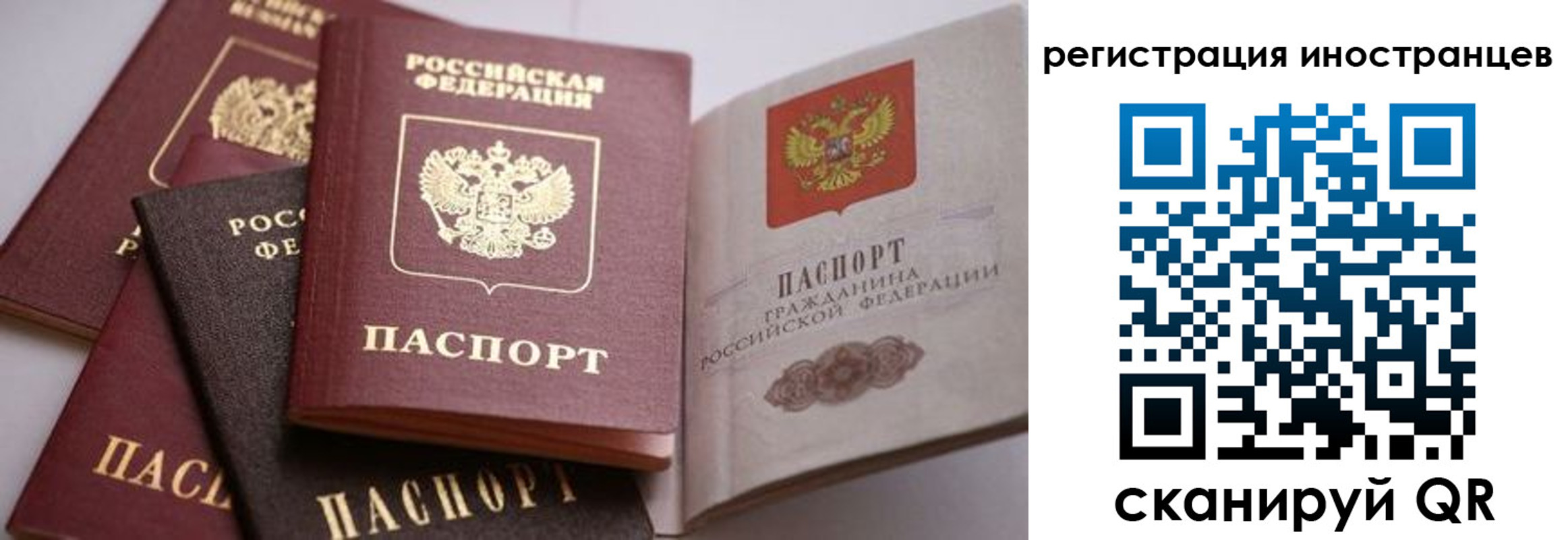 прописка штамп в Мончегорске