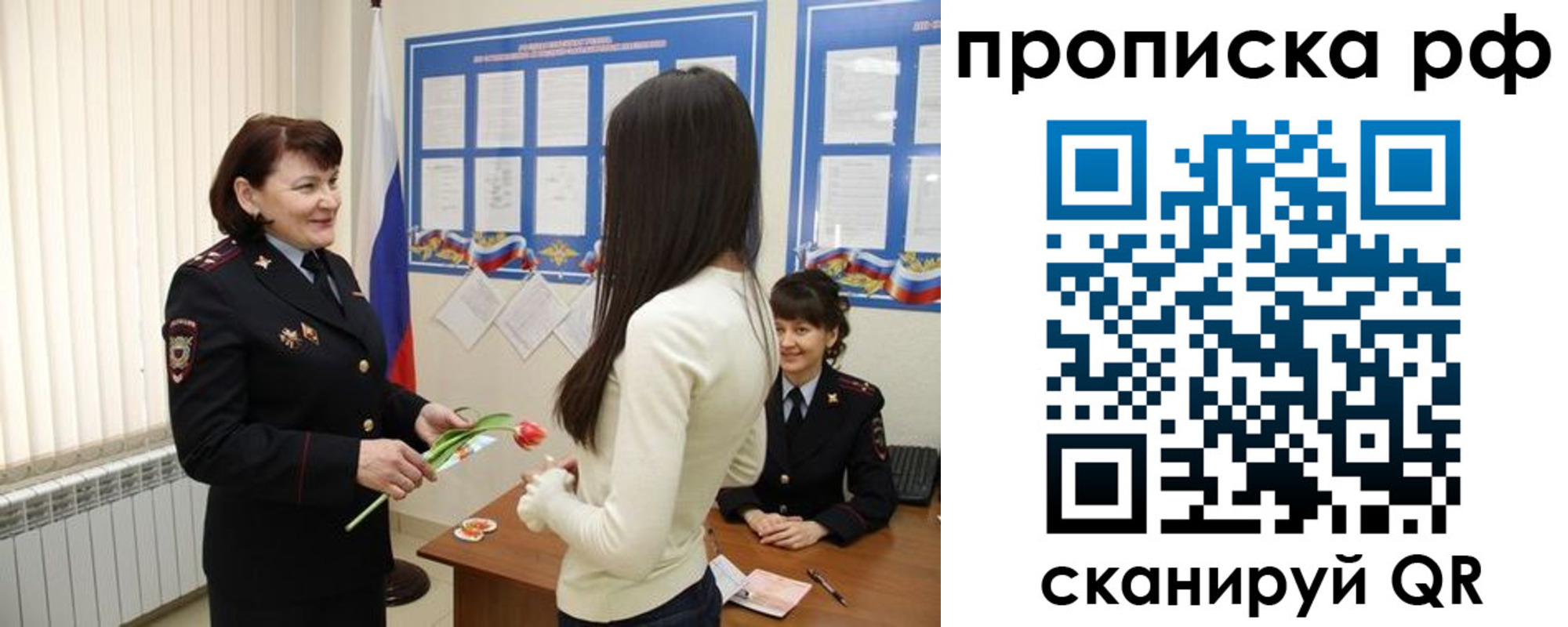 прописка в квартире в Мончегорске