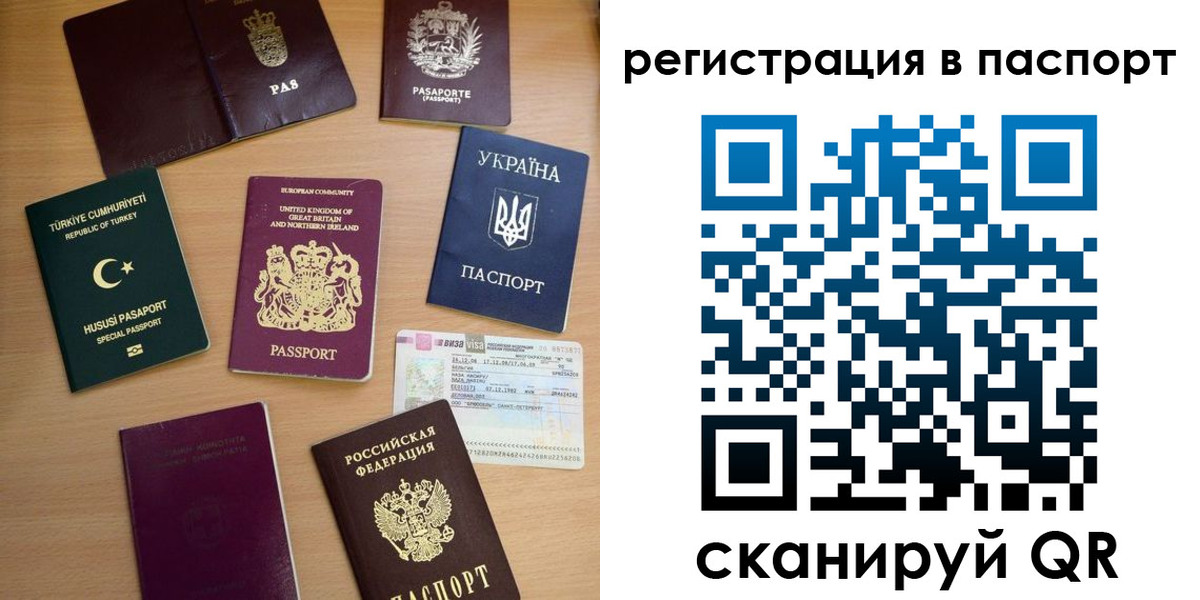прописка поиск в Мончегорске